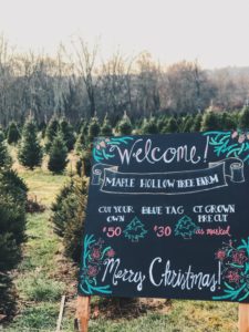 Maple Hollow Tree Farm
